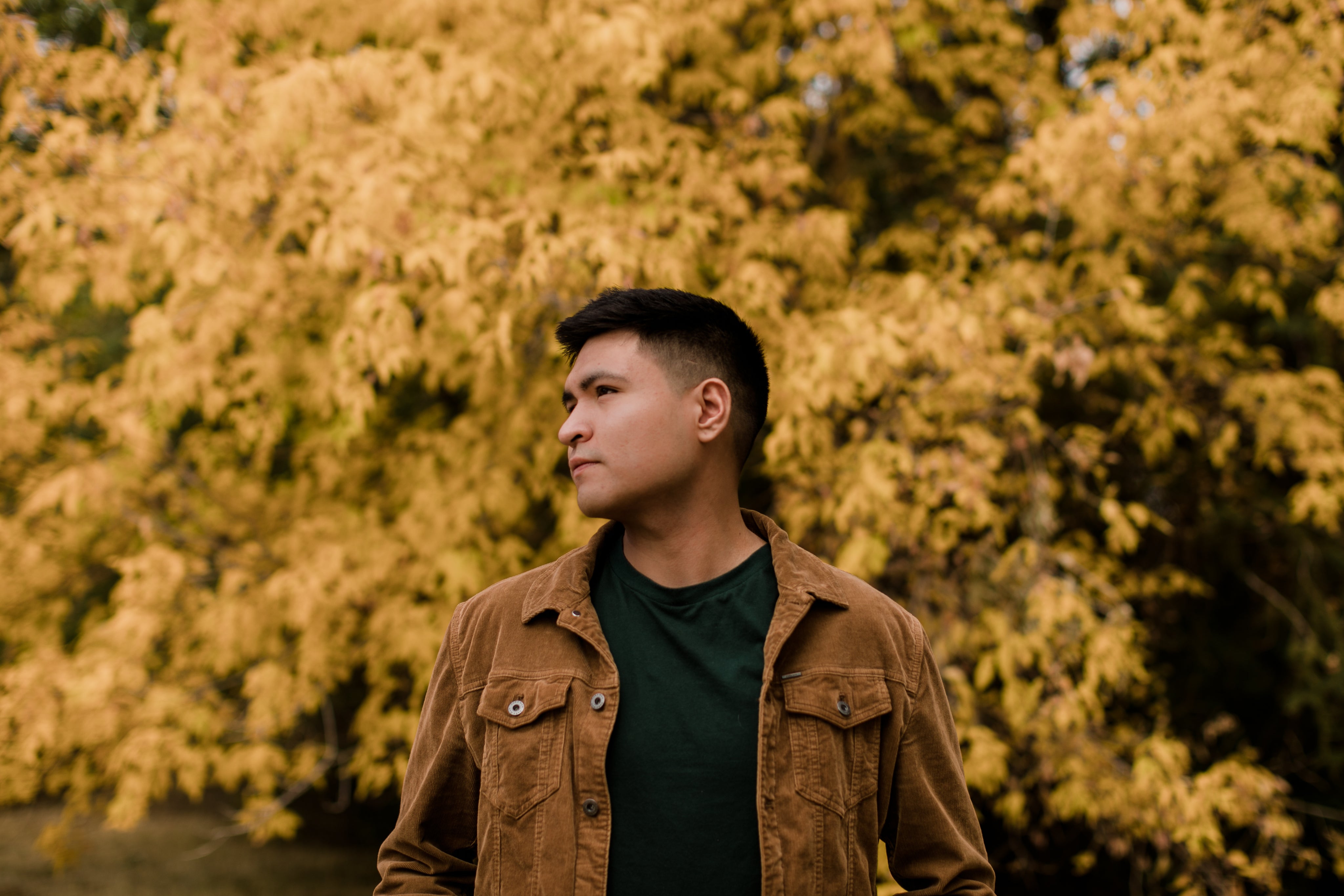 <em><strong>Andrés P.</strong></em>